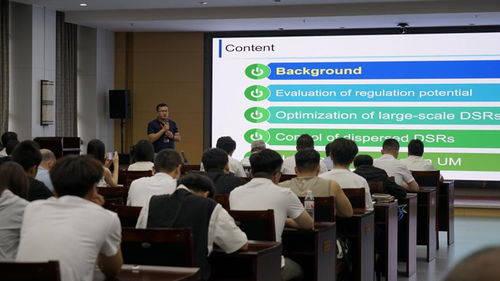 16位青年專(zhuān)家開(kāi)展新型電力系統(tǒng)技術(shù)交流